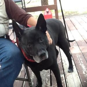 Meet your Posher, Susan